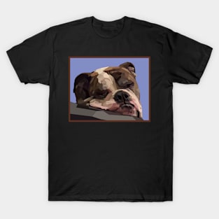 Hemi Bulldog Geometric T-Shirt